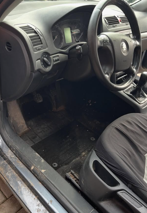 Škoda automobilio valymo darbai